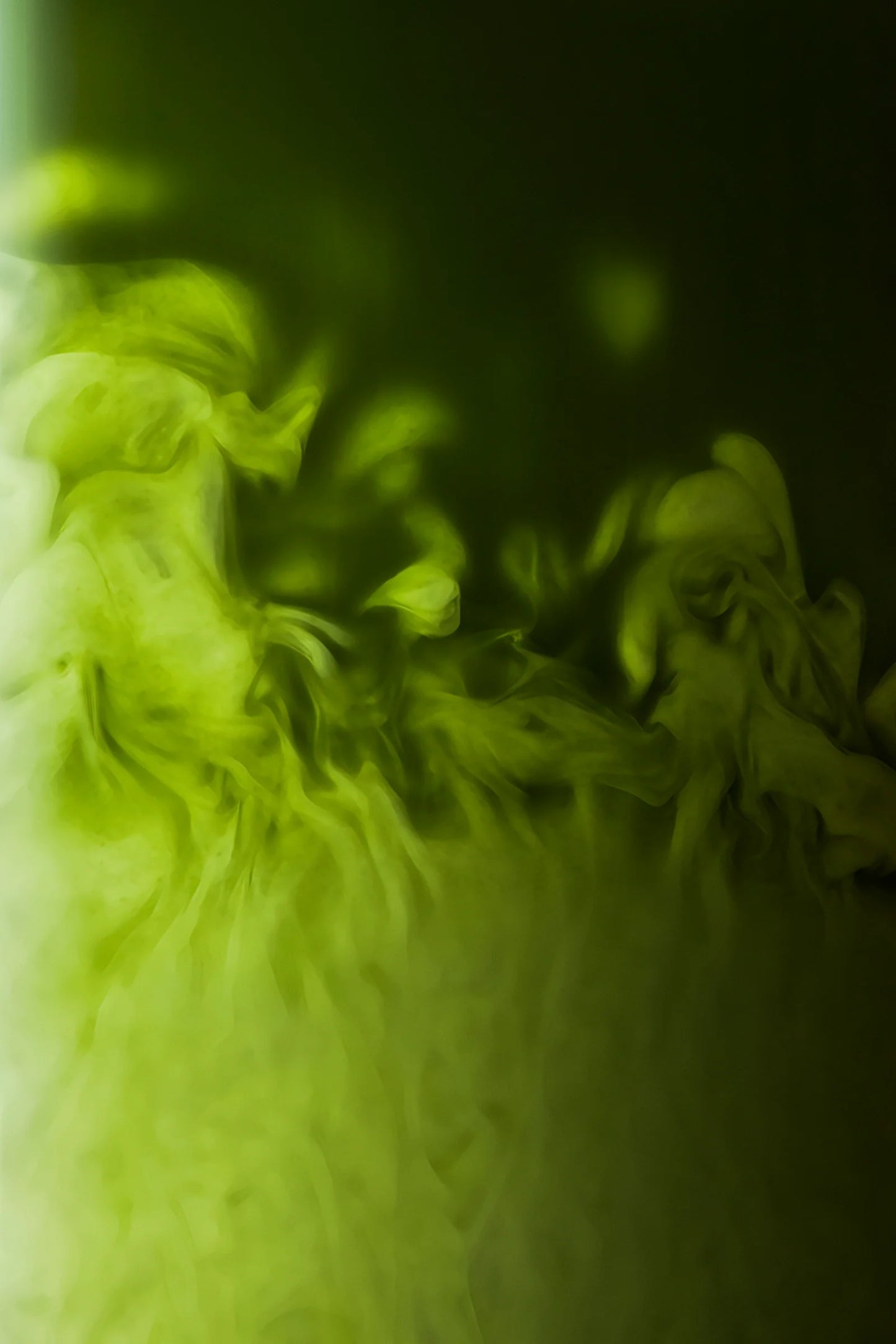 Matcha Cérémonie Vanille 30g